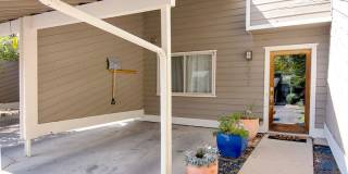 Super fun remodeled Apartment Gallery 3