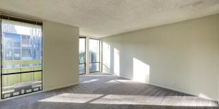 1081 Beach Park Blvd #211 Gallery 10