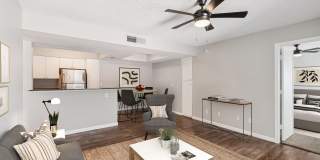 4127 Arcadia Gallery 4