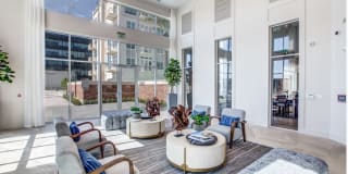 255 Assay Luxury Apartments Gallery 25