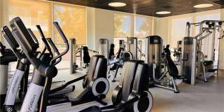 5055 Scholarship Gallery 33