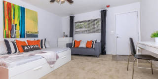 Treehouse Apartments Gallery 4