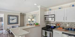 Nautilus Point Gallery 4