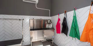 One41 Wellington Gallery 8