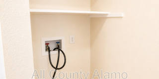 11782 Spring Song Gallery 17