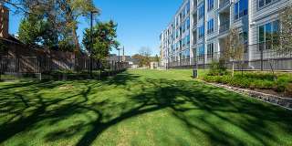 Caroline at Memorial Gallery 23