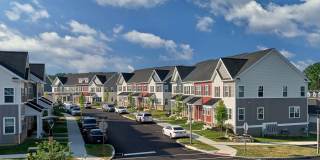 Summerhill Gallery 47