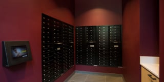 Five Twenty East Armour Gallery 8