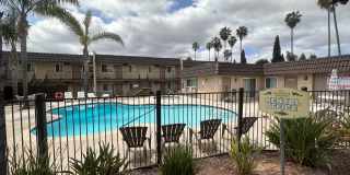 Meadowlark Gallery 5