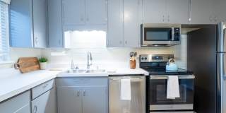 Spacious Updated Unit of Quadplex Available in Park Hill Gallery 6