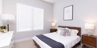 Cortland Oleander Gallery 20