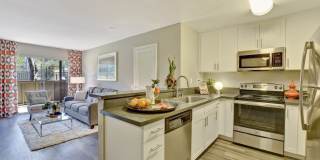 Park Pointe Gallery 5