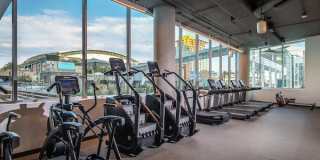 Adeline Luxury Living Gallery 17