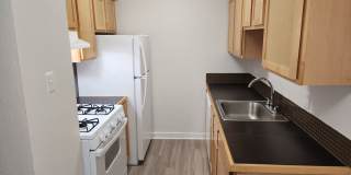 Kensington Court Gallery 38