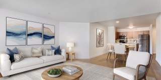 Elm Row Gallery 8