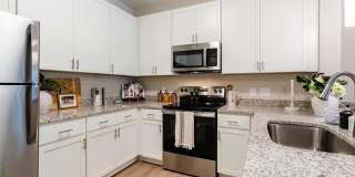 Midway at Archdale Gallery 17