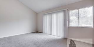 Lovely four bedroom home in Westminster Lovely four bedroom home in Westminster Gallery 22
