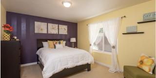 3843 Riviera Drive Gallery 14