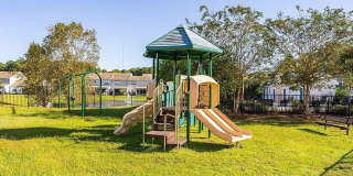 391 Dante Cir Gallery 32