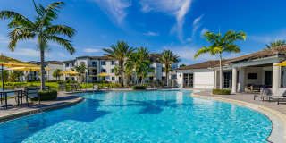 Portofino Vineyards Gallery 8