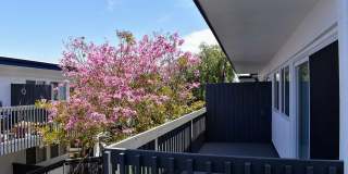 Americana South Bay Gallery 23