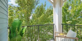 The Reserve at Cary Park The Reserve at Cary Park Gallery 16