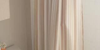 258 Porta Rosa Gallery 16