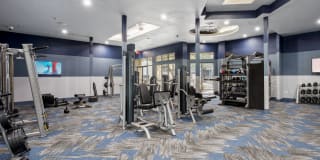 Mosaic at Mueller Gallery 24