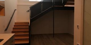Luna Gallery 6