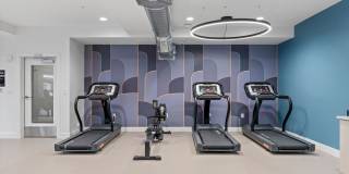 The Revival Gallery 49