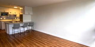 Recently Renovated 1 Bedroom in Honolulu Gallery 3