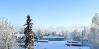 380 E 11th Ave #426 Gallery 14