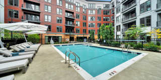 Piper Piper Gallery 12