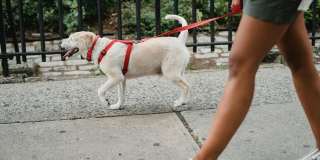 Elan Huntington Beach - Affordable Housing Gallery 8