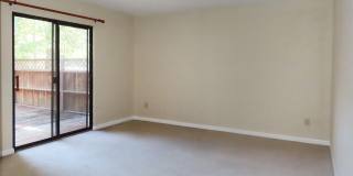 400 Summerwalk Circle Gallery 8