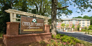 Candler Forrest Gallery 1