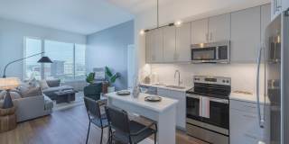 The Carson Gallery 4