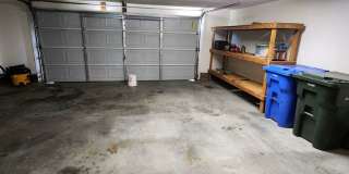 HOLLY CHASE Gallery 28