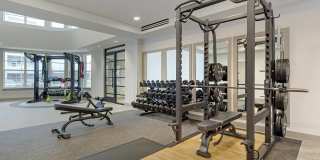 Delamarre at Celebration Gallery 7