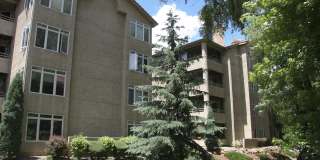 Cheyenne Creek Gallery 26