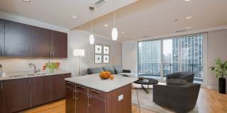 10 E Delaware Place unit: 14A Gallery 6