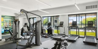 The Mason Gallery 78