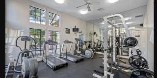 8711 Fancy Finch Dr Gallery 3