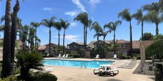 1299 Dogwood Gallery 37