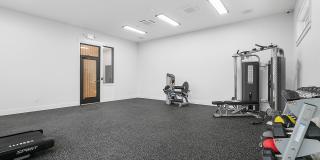 The Timothy Gallery 20