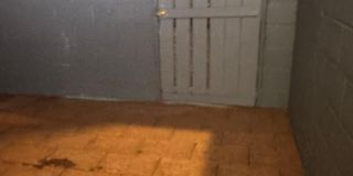 1338 HICKS Street Gallery 11