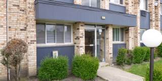 8647 1/2 W Foster Ave Apt 1B Gallery 2