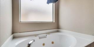 2317 Tropical Wind - 3 Bed/2 Bath - $1795month Gallery 31