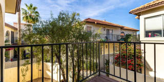 Great 2 bed/2 bath at the Point South Mountain Gallery 32