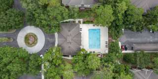 CRICKET CLUB II Gallery 1
